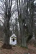Výklenková kaple Panny Marie v lesíku