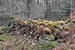 Zbytky budovy mlýna