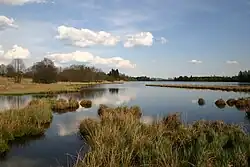Břehy Podhorní nádrže v přírodní památce Čertkus