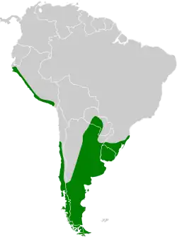 Areál výskytu (zeleně)