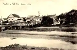 Pohlednice Podivína se synagogou (zcela vlevo)