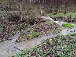 Podleský potok za vesnicí Podlesí