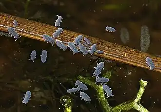 alternativní popis obrázku chybí