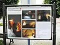 Informační tabule před muzeem
