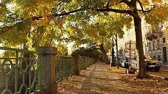 Podzim na Janáčkově nábřeží