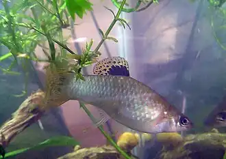 alternativní popis obrázku chybí