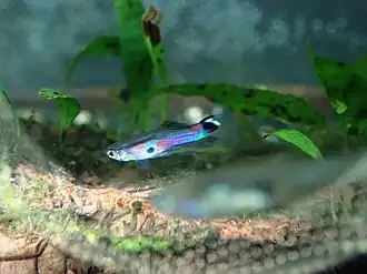 alternativní popis obrázku chybí