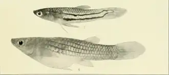 alternativní popis obrázku chybí