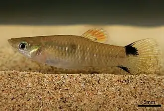 popis obrázku chybí