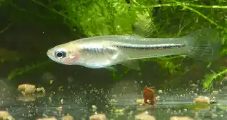 popis obrázku chybí