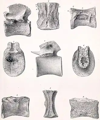 alternativní popis obrázku chybí