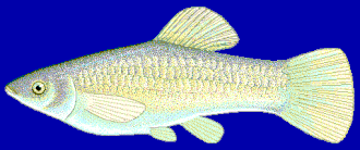 alternativní popis obrázku chybí