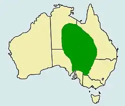 Výskyt agamy australské v Austrálii