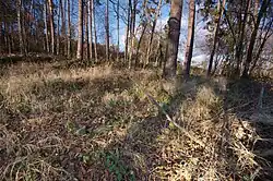 Pohřebiště - mohylníky, Slatinky, okres Prostějov (02).jpg