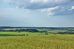 Drahanská vrchovina u Protivanova