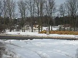 Chaty ve vsi Skuheř