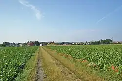 Pohled na ves ze severu