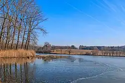 Třeboňský rybník u Rožďalovic