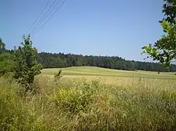 Pohled na Babu od Vitína