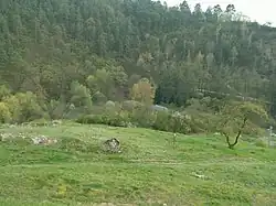 Pohled na Obřanskou stráň