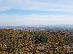 V popředí tmavozeleně zbarvený les, v pozadí tmavší kopce, nahoře modrá obloha s bílými mraky