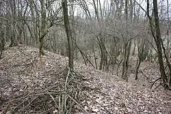 Pohled z vnitřního valu přes příkop.jpg