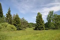 Spodní část mokřadu směrem ke koupališti