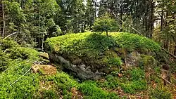 Vrcholová skalka Poleckého vrch