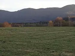 Pohled na svahy bývalé rezervace Poledník od samoty Dvořákov