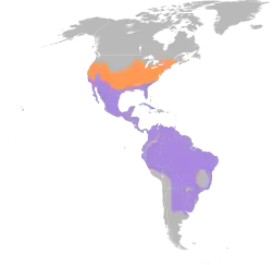 Rozšíření leskotovitých      Hnízdní oblasti      Celoroční výskyt      Jiné