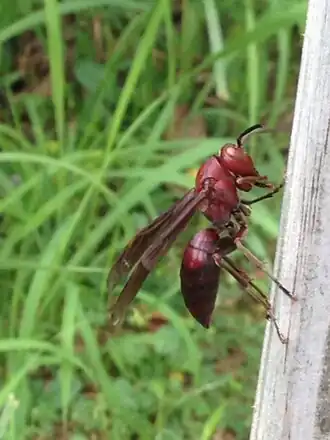 alternativní popis obrázku chybí