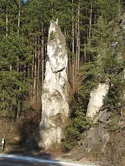 Poluvsianská skalní jehla