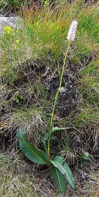 alternativní popis obrázku chybí