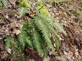 alternativní popis obrázku chybí