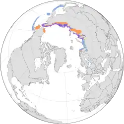 Areál rozšíření