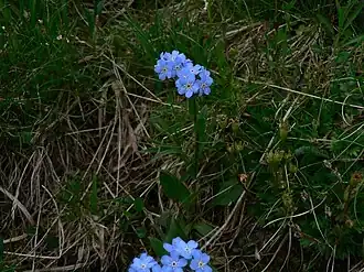 alternativní popis obrázku chybí