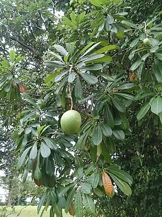 alternativní popis obrázku chybí