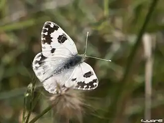 alternativní popis obrázku chybí