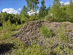 Vrchol kopce (nejvyšší bod osady)