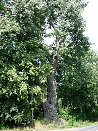 alternativní popis obrázku chybí