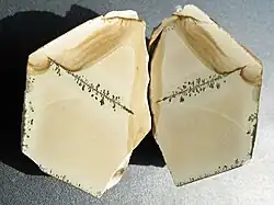 Porcelanit z lomu Bučník