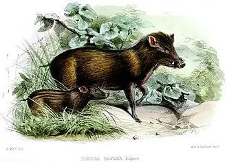 alternativní popis obrázku chybí