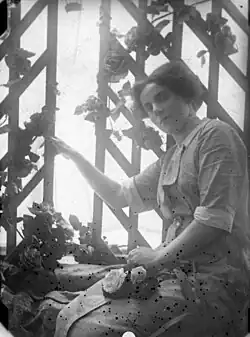 Portrét Gladys Reevesové