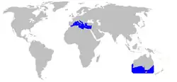Areál rozšíření