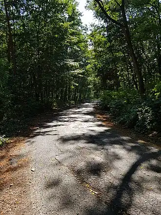 Pohled z kopce na sever