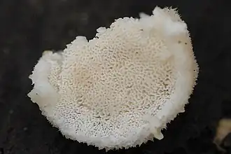 alternativní popis obrázku chybí