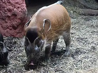 alternativní popis obrázku chybí