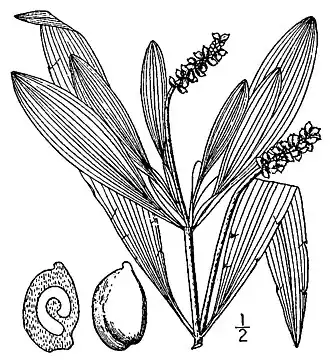 alternativní popis obrázku chybí