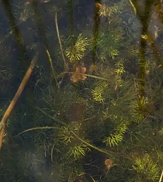 alternativní popis obrázku chybí