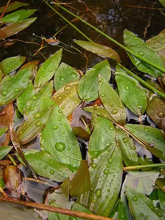 alternativní popis obrázku chybí